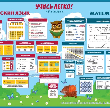 Какая математика русский. Детские развивающие плакаты. Развивающие плакаты для детей 5-6 лет. Математика и русский язык. 1 Класс математика и русский язык.